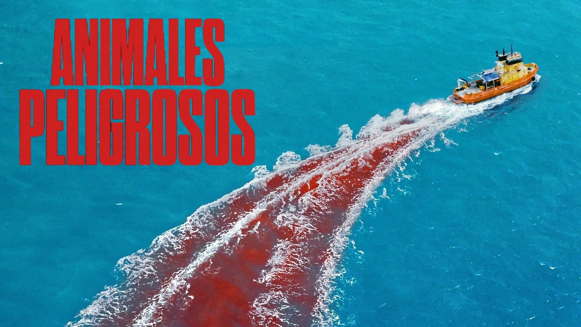 o1qnguvaajx63fkqiciuuyh6zlz